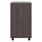 3 Drawer Mobile File Cabinet