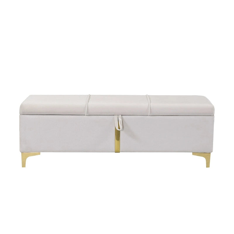 Elegante Pouf Contenitore Imbottito, Panchina Contenitore con Gambe in Metallo per Camera da Letto, Soggiorno, Completamente Assemblato Tranne le Gambe