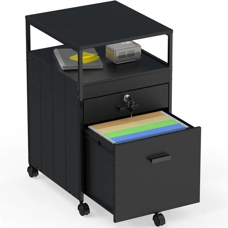 Rolling File Cabinet w/ 2 Drawers