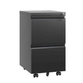 2 Drawer Metal Mobile File Cabinet,Rolling File Cabinet with Lock for Hanging Legal/Letter/A4 Size