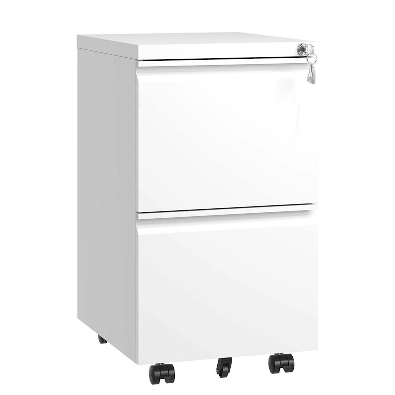 2 Drawer Metal Mobile File Cabinet,Rolling File Cabinet with Lock for Hanging Legal/Letter/A4 Size