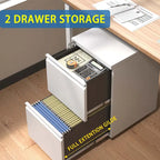 2 Drawer Metal Mobile File Cabinet,Rolling File Cabinet with Lock for Hanging Legal/Letter/A4 Size