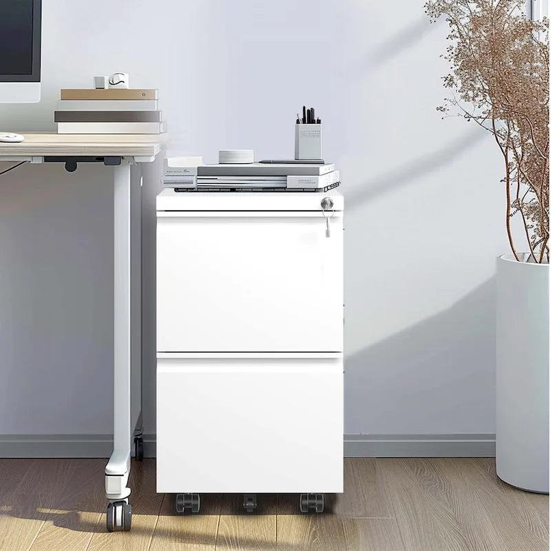 2 Drawer Metal Mobile File Cabinet,Rolling File Cabinet with Lock for Hanging Legal/Letter/A4 Size